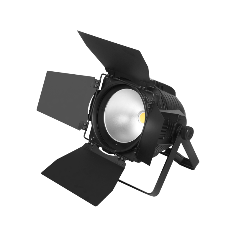 LC20415 светодиодный прожектор PAR, 1хRGBW, угол луча 60°